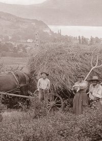 La fenaison à Veyrier du Lac, photo 70 cm x 50 cm